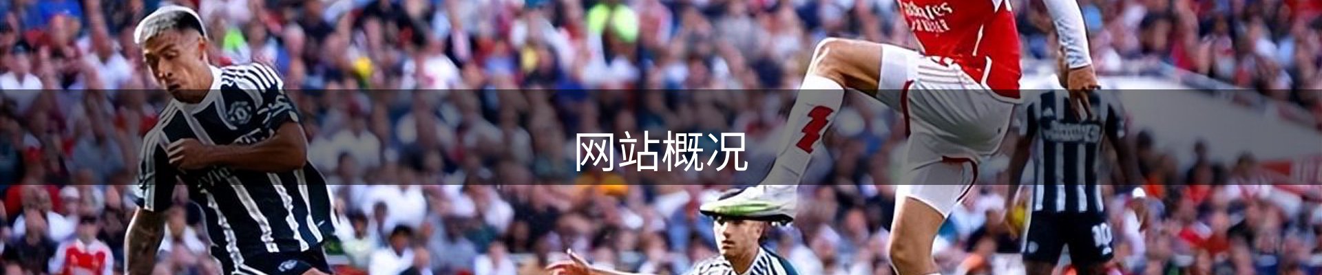 网站概况